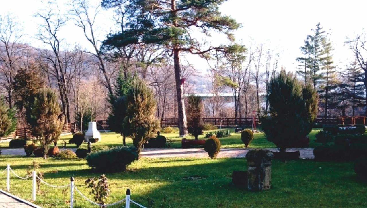 Hotel Spa Cazino Monteoru Sarata-Monteoru Exterior photo